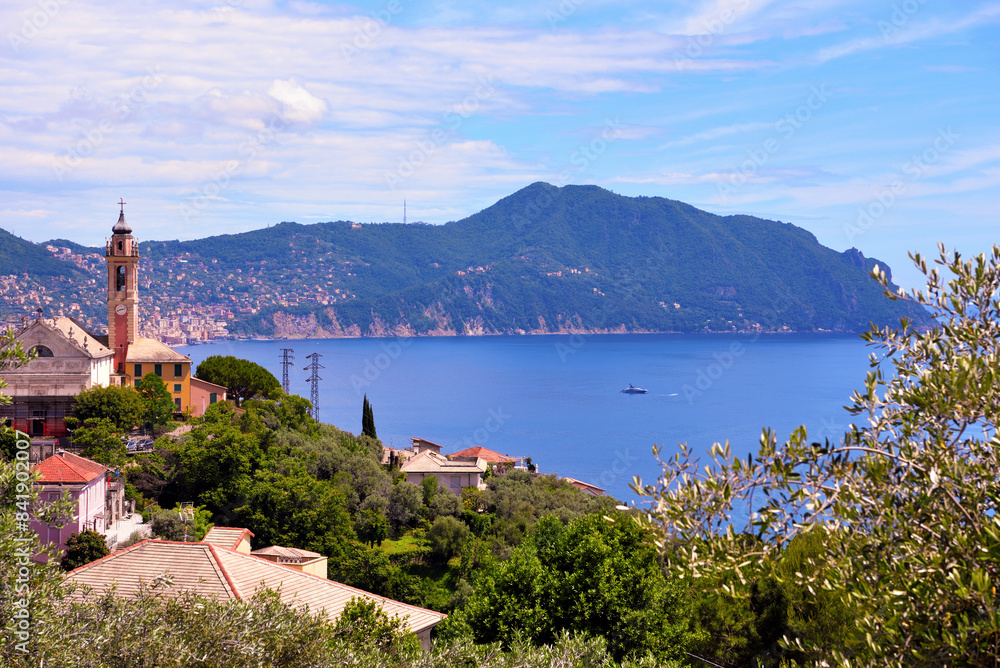 Fototapeta premium Punta chiappa Ligurian coast taken from Pieve Ligure Alta Italy