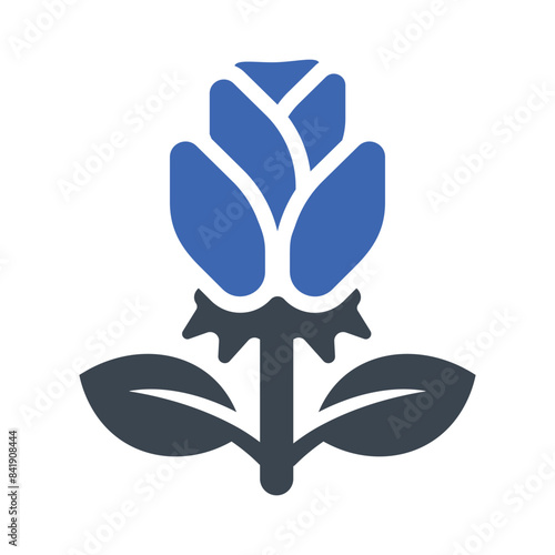 Rose flower Icon