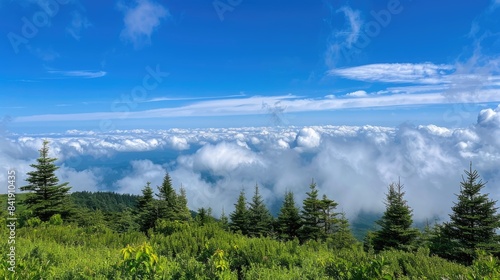 Scenic view of blue sky clouds and green trees visible during Black Mountain trek