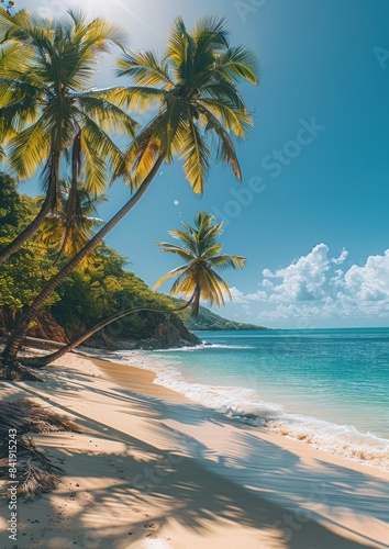 Towering sunlit palm trees on a tropical beach, symbolizing paradise.  © Nico