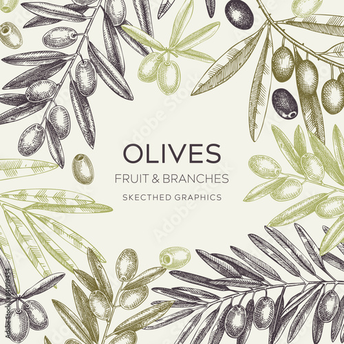 Vinatge olives frame design.Olive tree branches sketches. Mediterranean food menu template. Hand-drawn vector illustration. NOT AI generated.