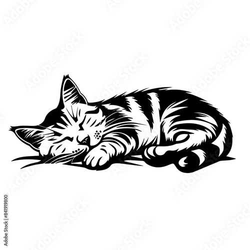 Vector Image of a Sleeping Cat or Kitten