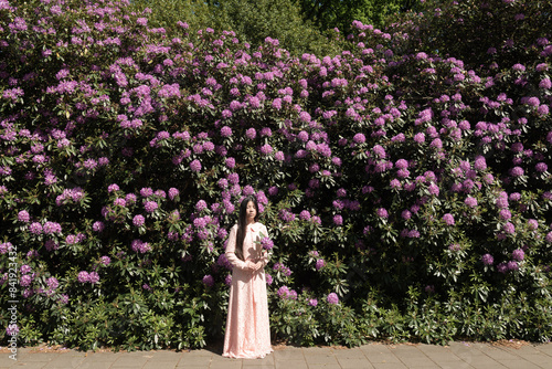 classic picture of asian young woman in pink dress standing in front of large purple rhododendron flower  bush photo