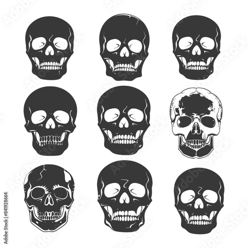 Skull Grid: Variety of Dark and Line Art Human Craniums, White Background