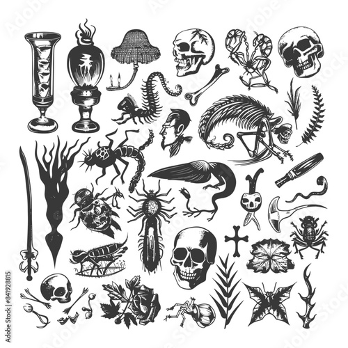 Gothic Entomology: Engraved Skull & Insect Illustration Set