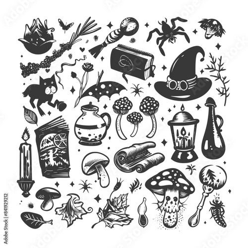 Witchcraft Elements: Hand-Drawn Grimoire, Mushrooms, Hat, and Magical Symbols Collage