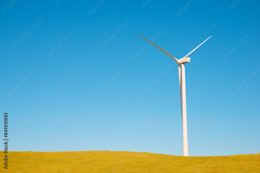 Wind turbine generator for sustainable electricity production Wind turbine generator for sustainable electricity production