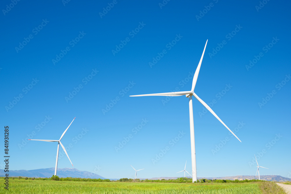 Wind turbine generators for green electricity production Wind turbine generators for green electricity production