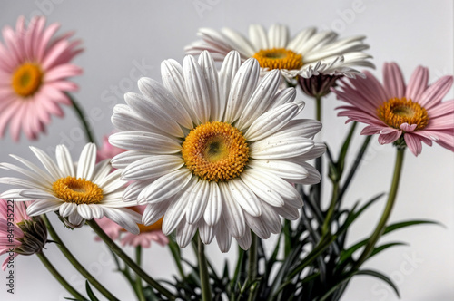 daisies in a vase © NUSRAT