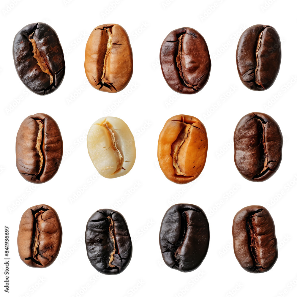 A collection of coffee beans showcasing various shades and roasting levels, beautifully arranged Isolated on transparent background A collection of coffee beans showcasing various shades and roasting levels, beautifully arranged Isolated on transparent background
