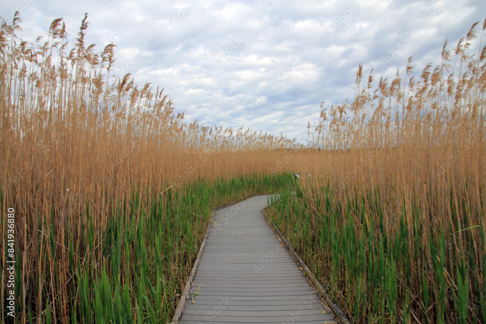 Fototapeta premium Fall landscape with trail in grass