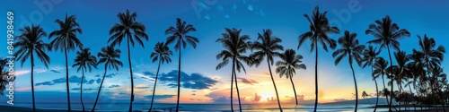 Breathtaking Tropical Sunset with Silhouetted Palm Trees - Idyllic Evening Landscape Photography
