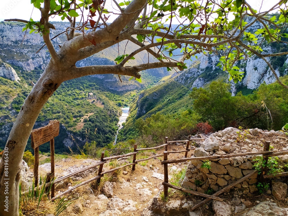Fototapeta premium Nature's Majesty: The Scala Cruci Trail in Cava Grande del Cassibile. landscape with a tree