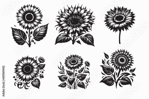 sunflower silhouette vector illustration.eps