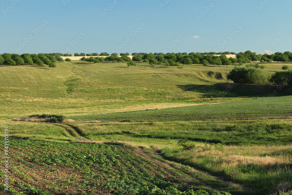 A field with grass and trees A field with grass and trees