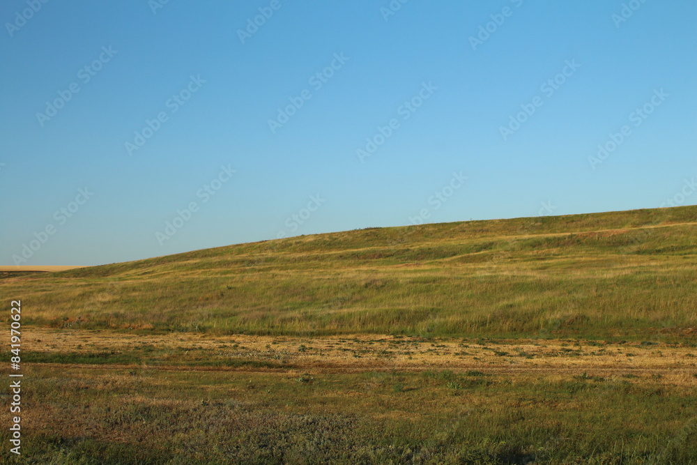 Fototapeta premium A grassy field with a blue sky
