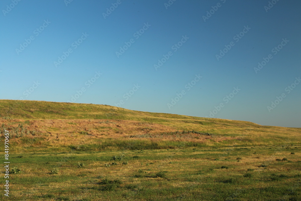 A grassy field with a blue sky A grassy field with a blue sky