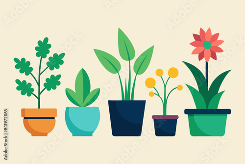set of indoor plants from six different vector illustration