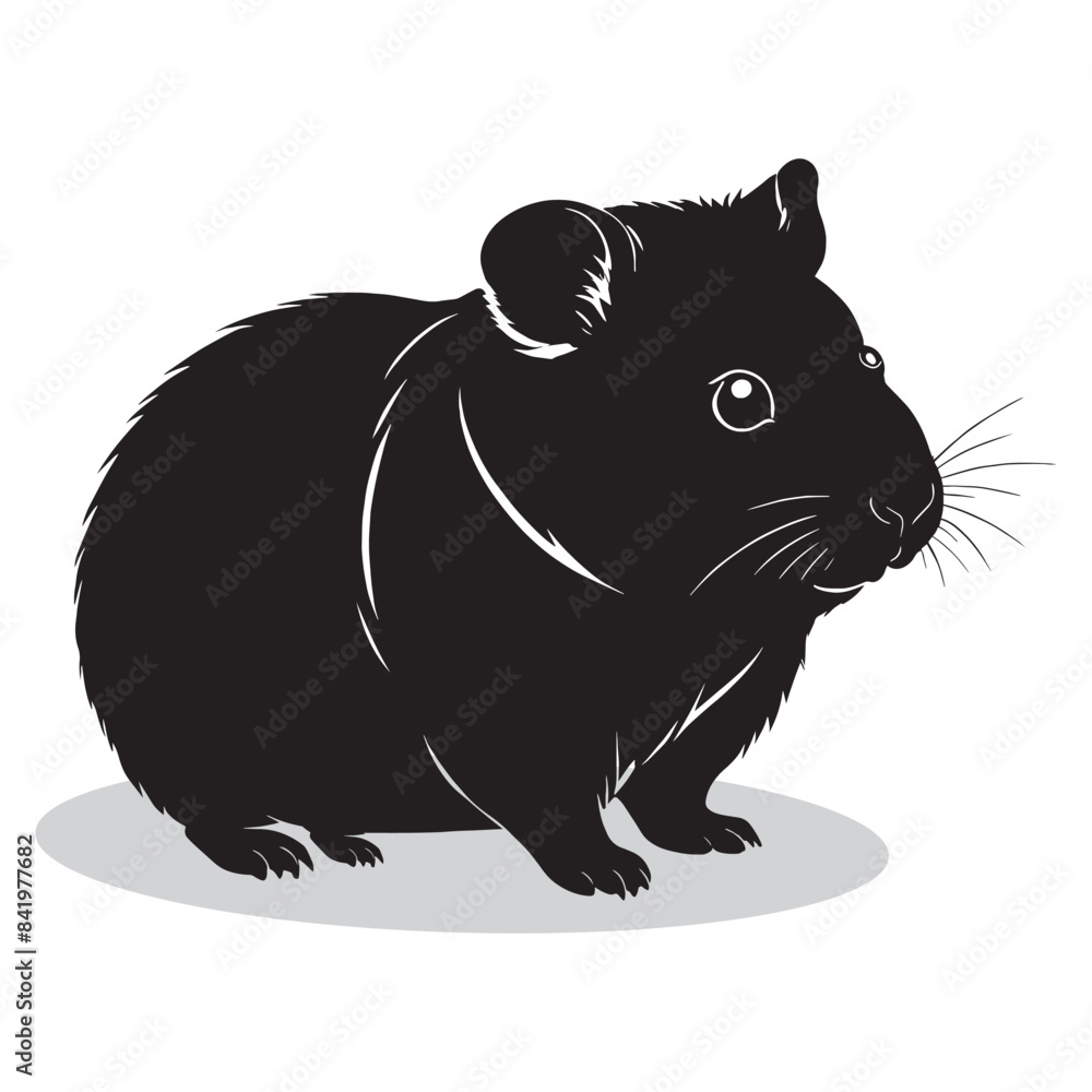 Hamster silhouettes and icons. black flat color simple elegant white background Hamster animal vector and illustration. Hamster silhouettes and icons. black flat color simple elegant white background Hamster animal vector and illustration.