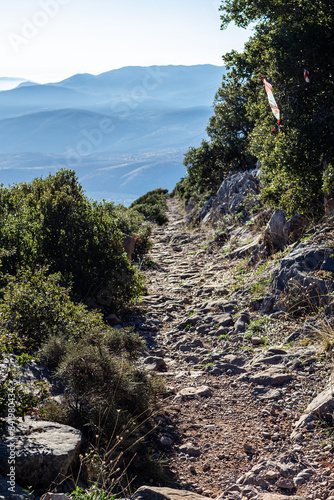 Greek hillside view looking down on Delphi