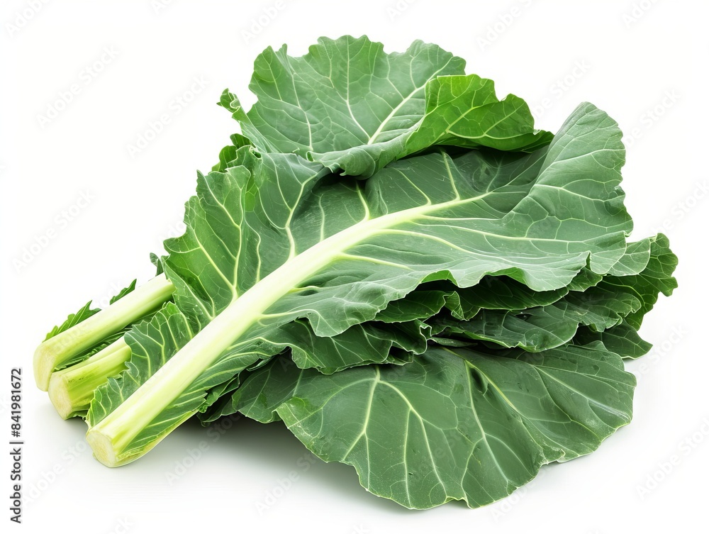 A bunch of vibrant green collard greens on a plain white background. A bunch of vibrant green collard greens on a plain white background.