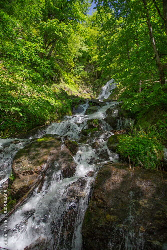 Summer landscape. Waterfall in a protected forest. Summer landscape. Waterfall in a protected forest.