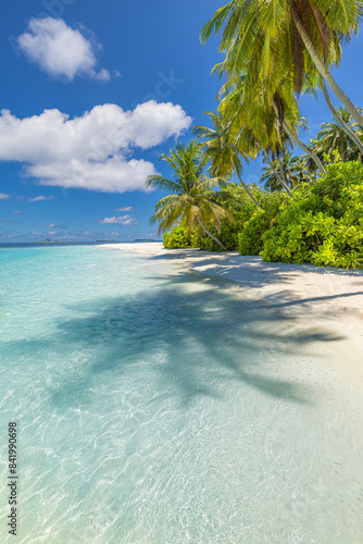 Fototapeta Naklejka Na Ścianę i Meble -  Summer beach landscape. Tropical island paradise. Exotic coast, palm trees, pristine sea, blue happy sky. Amazing nature pattern. Exotic destination travel background, vacation mood perfect wallpaper
