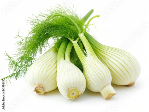 Fresh fennel bulbs with fea...