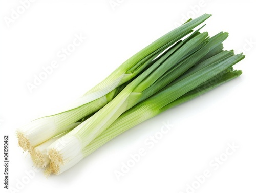 A bunch of fresh green leek tied together with a green rubber band  isolated on a white background.