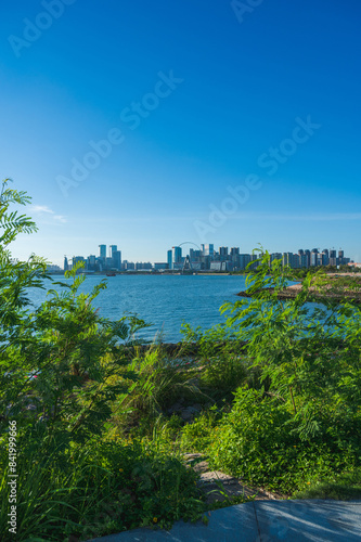 a vertical photo of urban skyline including high-rise skyscrapers and coastal rocks and grass, taken in a coastal park of Qianhai sub-district of Shenzhen, China photo