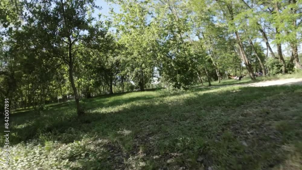 Immerse yourself in the beauty of nature with this captivating video of a leisurely stroll through a picturesque park. The lush green trees, vibrant flowers, and tranquil atmosphere create a serene Immerse yourself in the beauty of nature with this captivating video of a leisurely stroll through a picturesque park. The lush green trees, vibrant flowers, and tranquil atmosphere create a serene