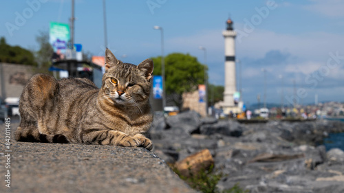 Canvas Print Istanbul, Turkey - 23