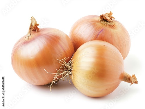 Wallpaper Mural Onions on a white background. Torontodigital.ca