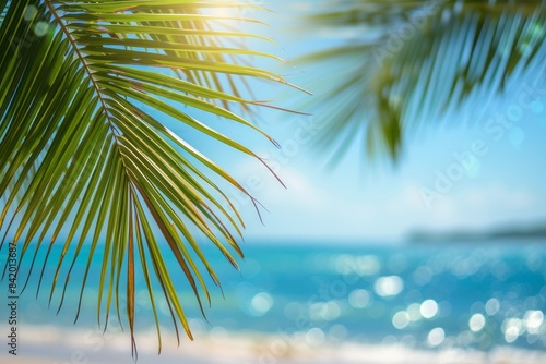 Palm leaves on a blurred sea background