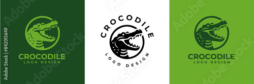 Crocodile Logo Vector, Crocodile head logo, Alligator logo Illustration Alligator head logo vector design for strong business identity