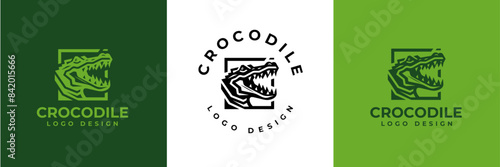 Crocodile Logo Vector, Crocodile head logo, Alligator logo Illustration Alligator head logo vector design for strong business identity