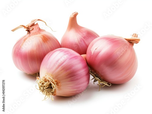 Wallpaper Mural Shallot onions on a white background. Torontodigital.ca