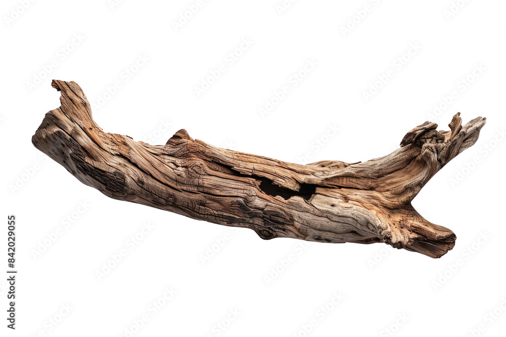 A detailed view of an isolated piece of driftwood, showing its natural texture and organic shape, perfect for nature-themed projects or backgrounds. A detailed view of an isolated piece of driftwood, showing its natural texture and organic shape, perfect for nature-themed projects or backgrounds.