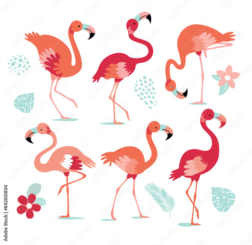 Obraz premium Set of pink flamingos. Exotic bird in different poses. Flamingos with beautiful pink wings. Vector illustration