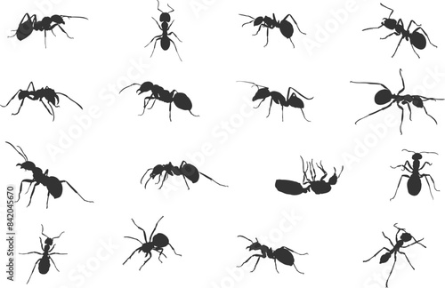 Ants silhouette,  Ant clipart, Ants svg, Ant silhouette set, Ants vector set, Ant crawling silhouette.