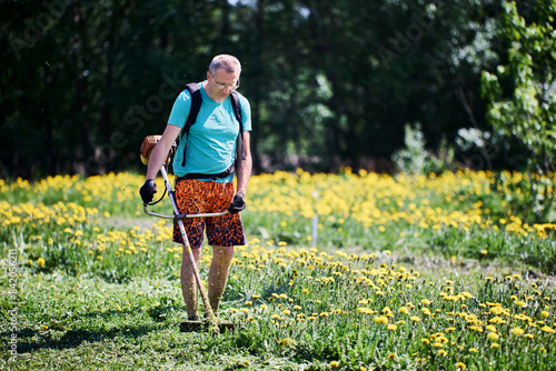 Man dressed in shorts cuts dandelions with gasoline line weed trimmer, violating safety regulations. photo