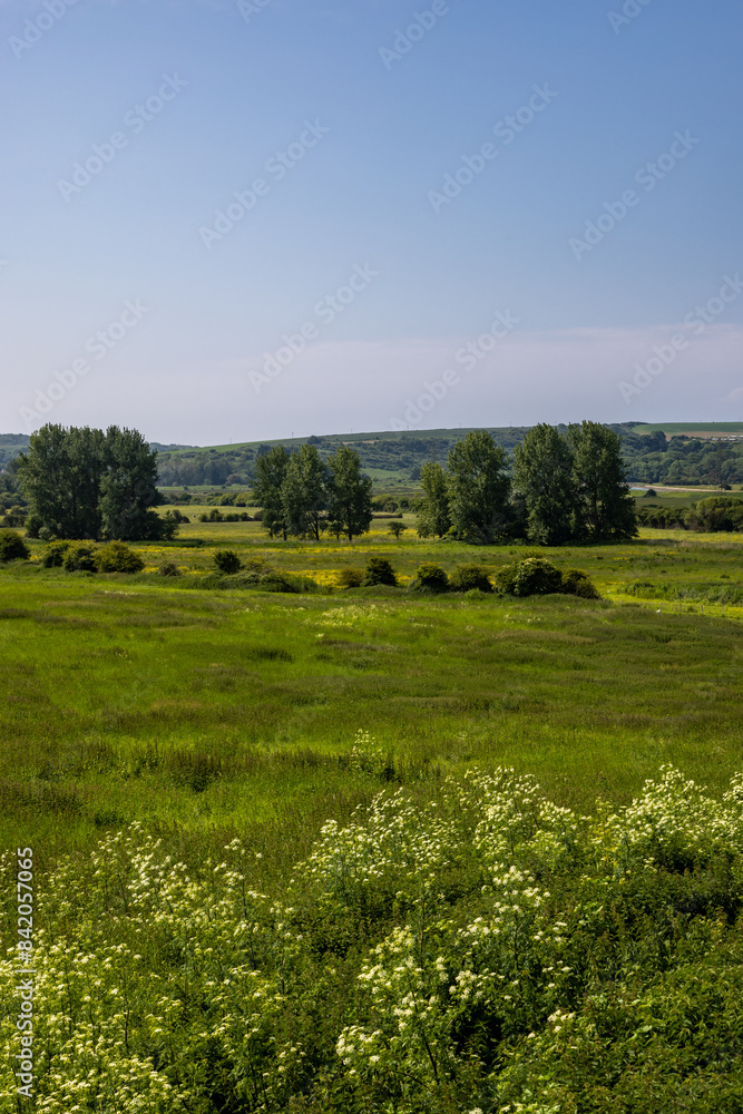 A view out over a rural Sussex landscape on a sunny early summer's day A view out over a rural Sussex landscape on a sunny early summer's day
