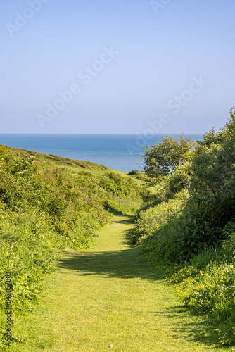 Looking along a pathway at Cuckmere Haven, with the ocean in the distance and a blue sky overhead photo