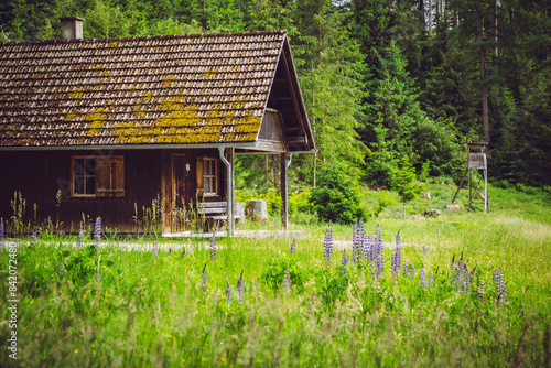 Holzhütte im Wald - Altdorfer Wald in Oberschwaben photo