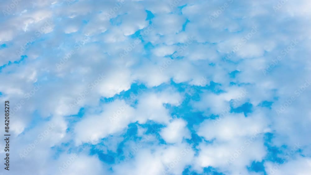 White Clouds Floating Across the Blue Sky Turning into Thunderclouds: Summer Sky Before and During Rain White Clouds Floating Across the Blue Sky Turning into Thunderclouds: Summer Sky Before and During Rain