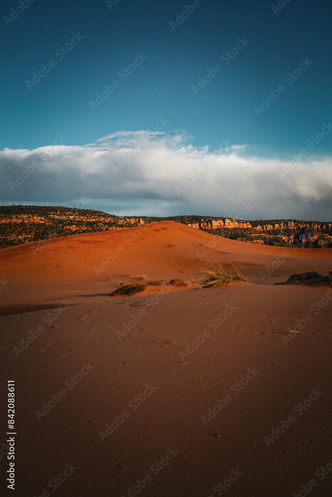 Coral Pink Sand Dunes State Park, Utah, United States Coral Pink Sand Dunes State Park, Utah, United States