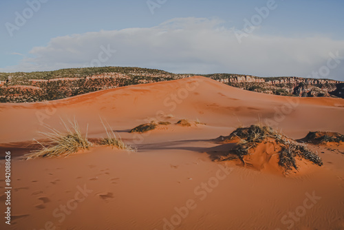 Coral Pink Sand Dunes State Park, Utah, United States photo