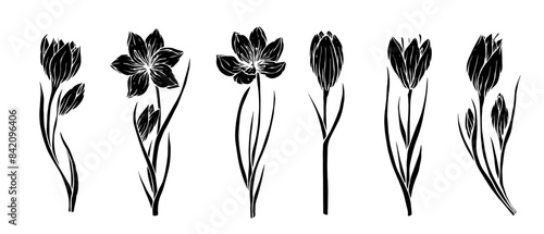 Set of silhouettes, stamps of spring flowers and crocus buds.Vector graphics.