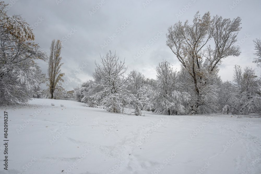 Winter Landscape of South Park in city of Sofia, Bulgaria Winter Landscape of South Park in city of Sofia, Bulgaria