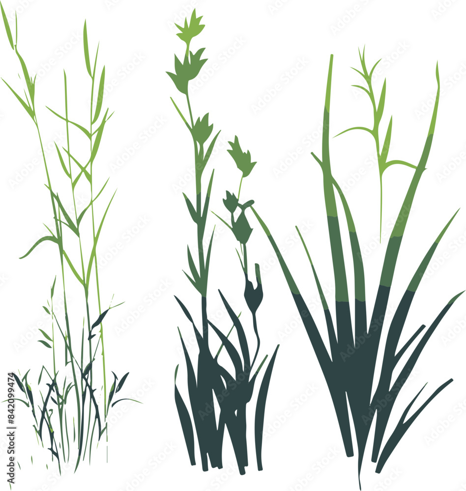 Obraz premium Vector Silhouettes of Grasses and Plants, Minimalist Nature Design